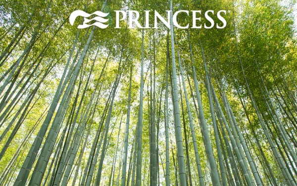 Princess Asia cruises from $1,498*