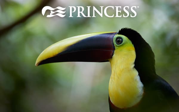 Princess South America cruises from $998*