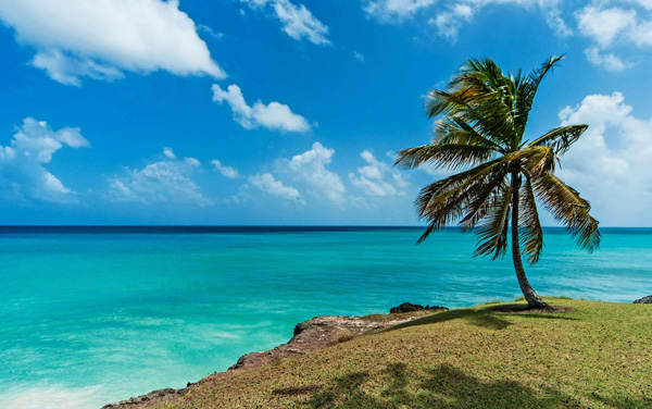 World Navigator Caribbean Cruise Destination