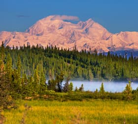 Alaska Cruisetour to Denali
