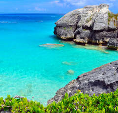 Bermuda Beach