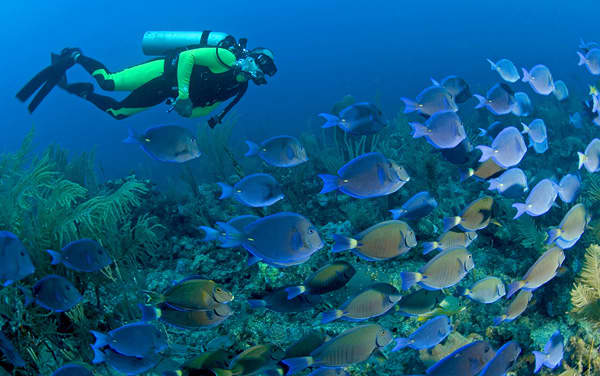 Royal Caribbean International-Mexican Riviera