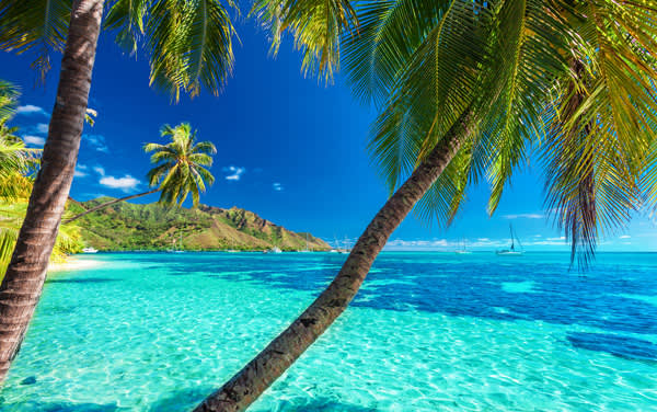 South Pacific / Tahiti