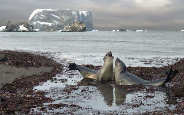 View Port World Traveller Drake Passage, Antarctica Departure Port