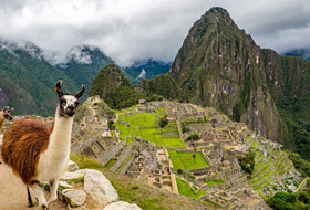 Machu Picchu Ruins in Peru