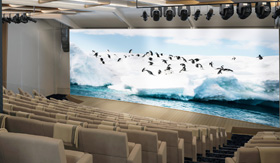 The Aula showing a nature movie