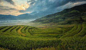 Rolling hills of the Mekong River Delta