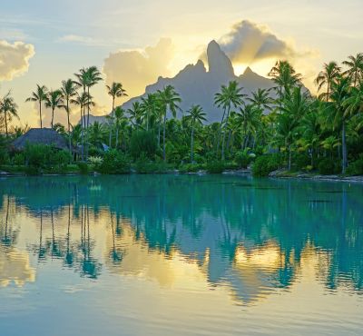 Palm Trees in Bora Bora