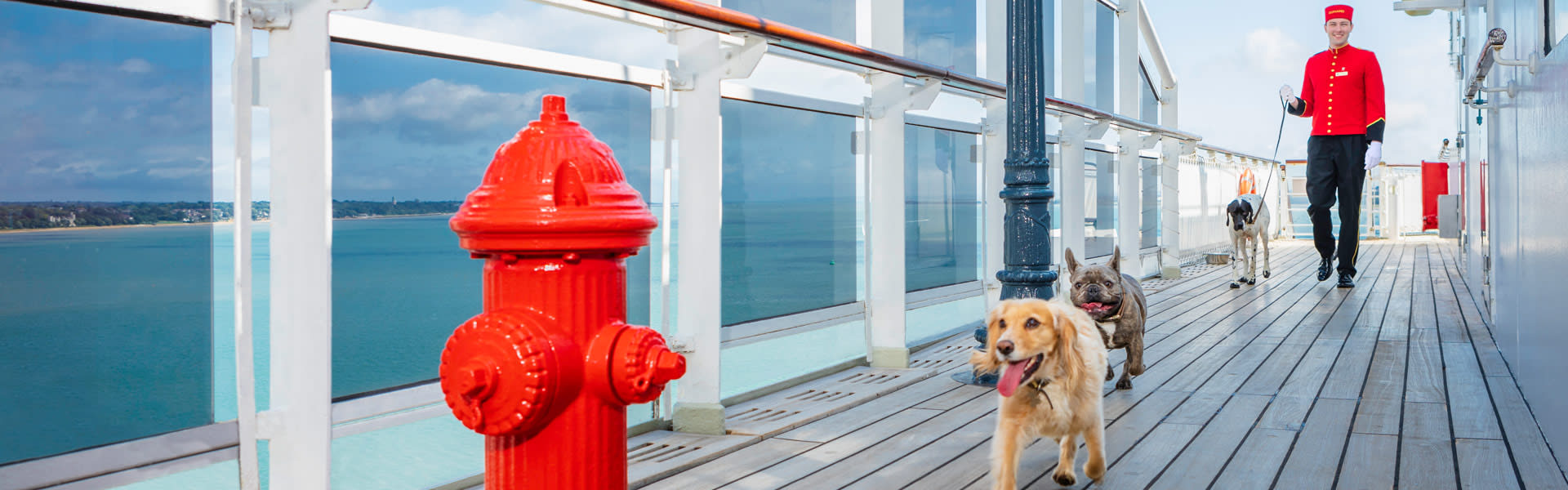 dog friendly ocean cruises