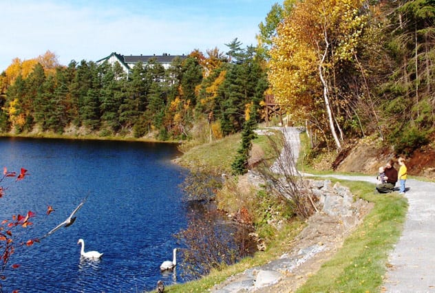 A trail along the Corner Brook Stream