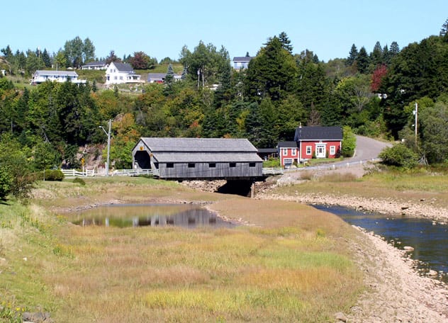 Saint Johns Landscape