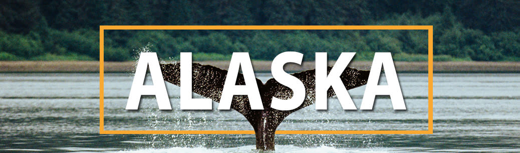 Best time to Cruise Alaska