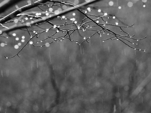 Balade Nature dans les "Voies blanches"