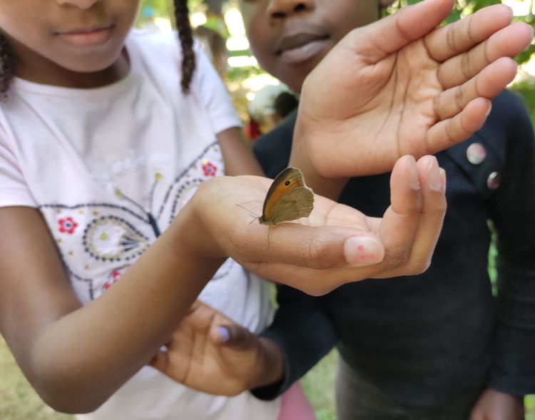 Les activités Nature proposés par Solen - Guide Nature