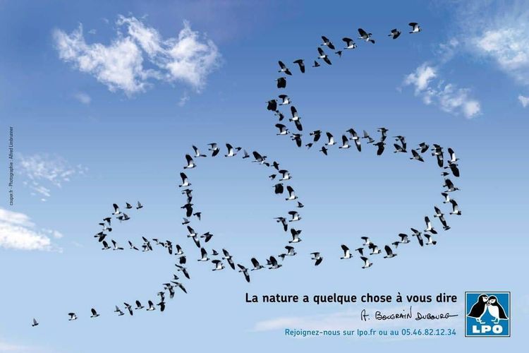 Les activités Nature proposés par LPO - Association de protection de la nature