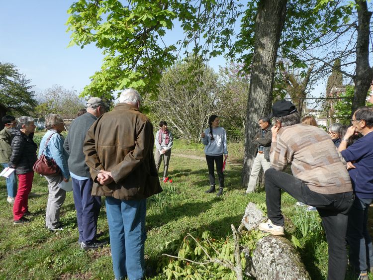 Les activités Nature proposés par Elodie - Jardinot