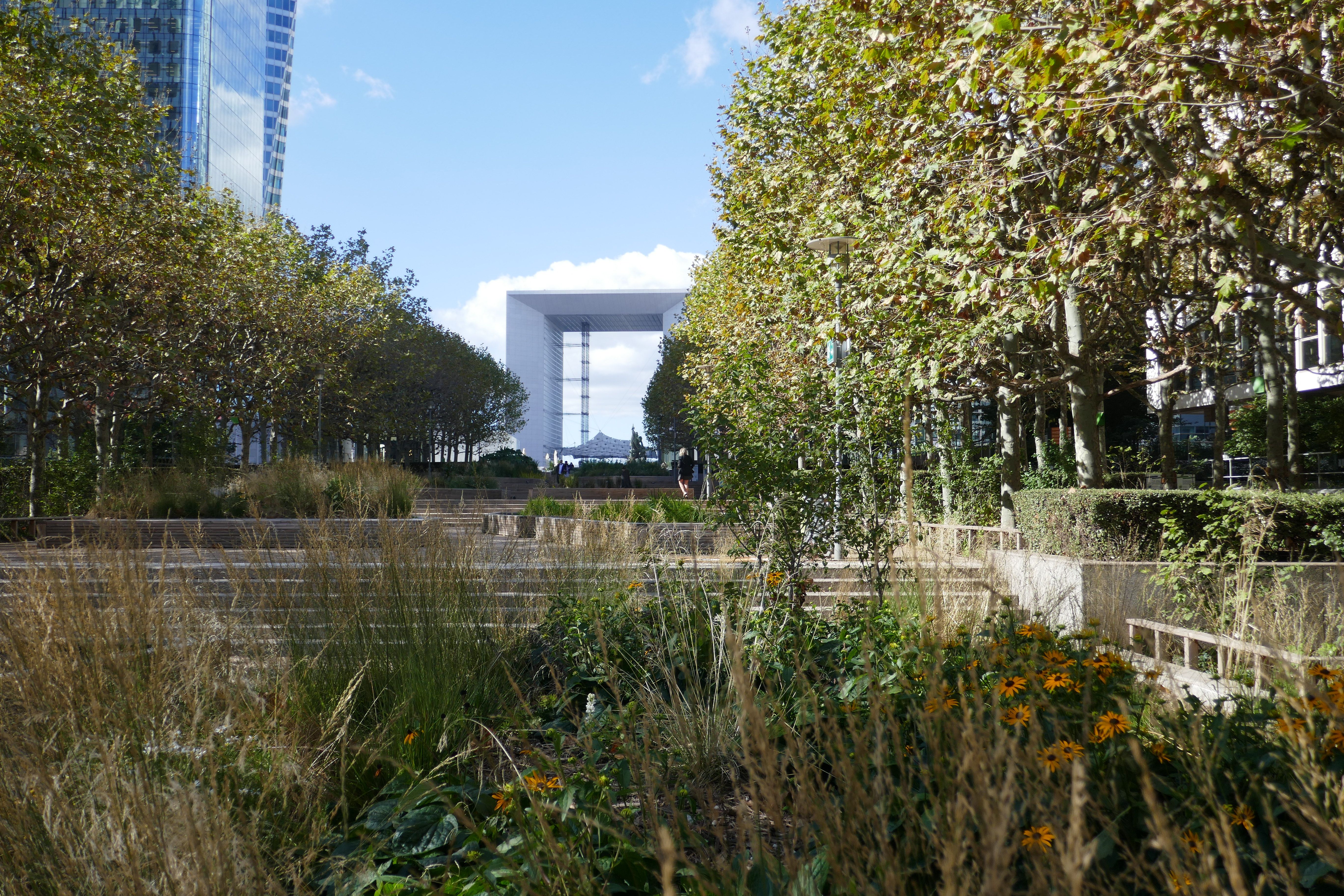 Eco-balade à La Défense.