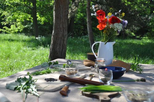 Balade découverte et cuisine sauvage