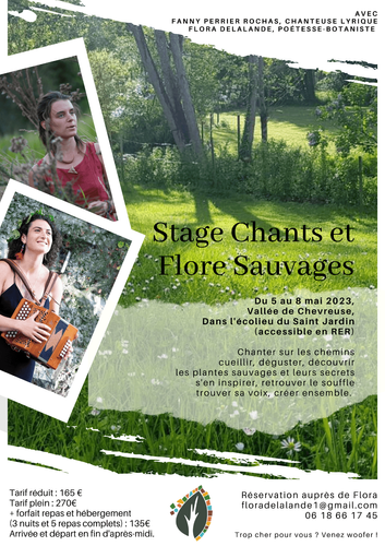 Stage Plantes sauvages et reconnexion à la nature par le souffle