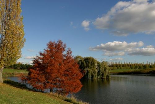 Sortie nature au parc du Sausset