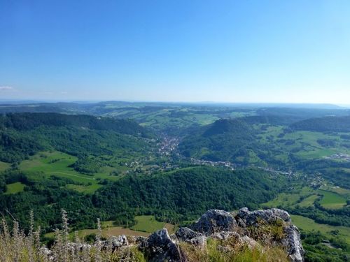 Stage « Botanique & Usages des Plantes » dans le Jura
