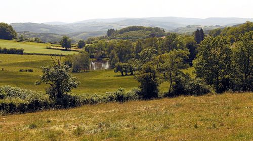 week-end à l'affût