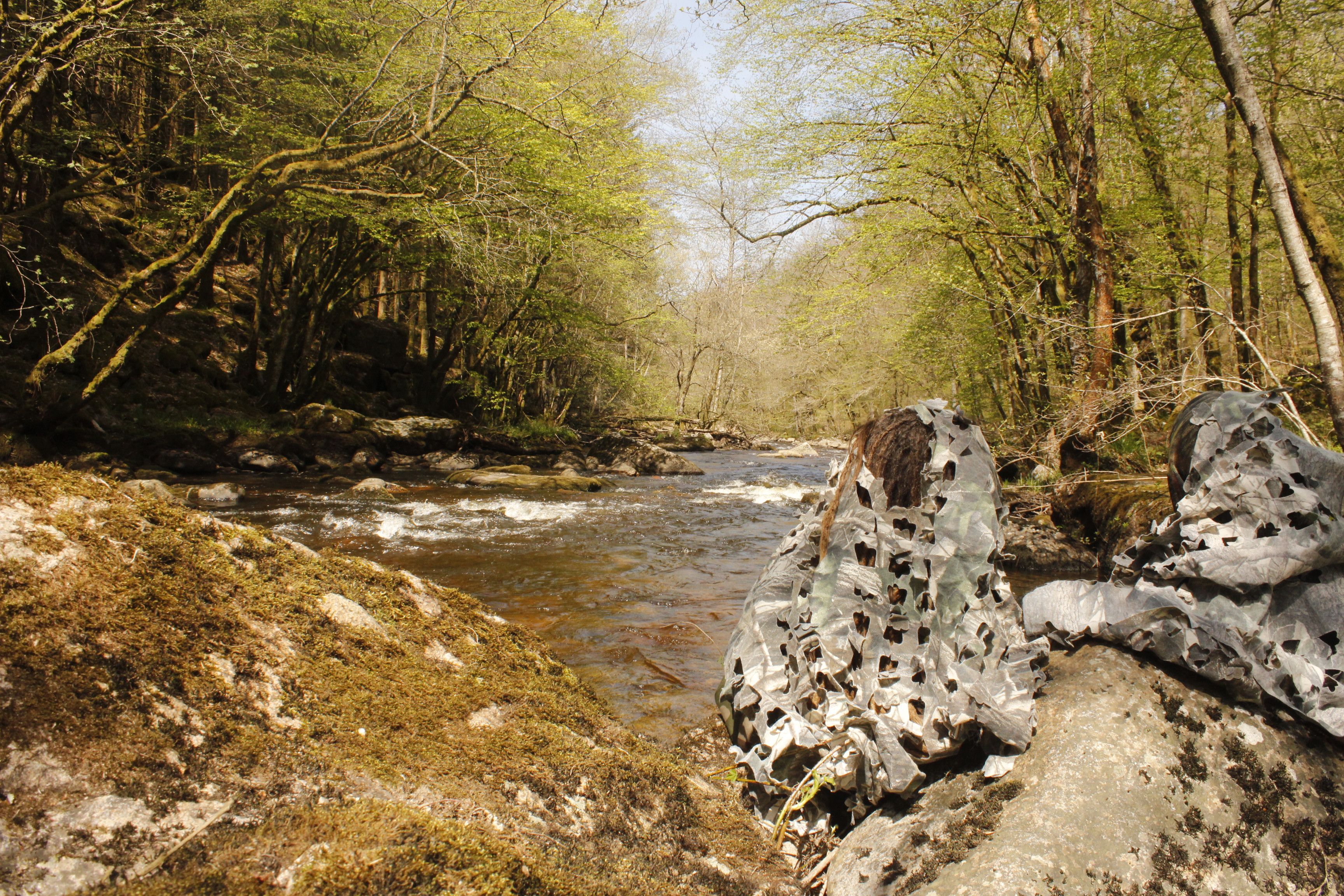 week-end à l'affût de la faune sauvage