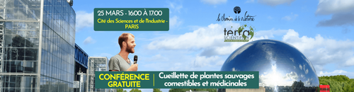 CONFÉRENCE CUEILLETTE DE PLANTES SAUVAGES COMESTIBLES ET MÉDICINALES