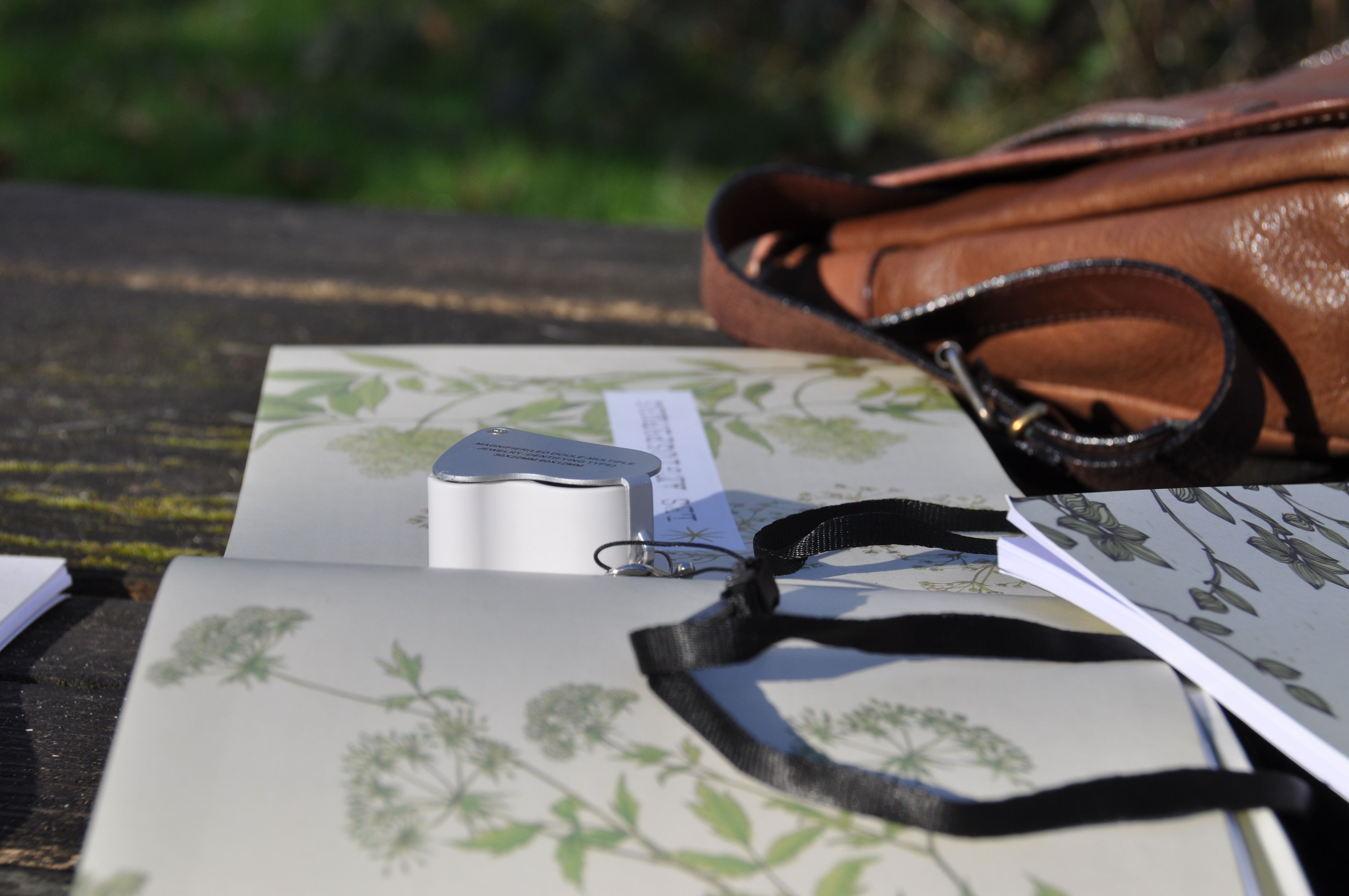 livrets - plantes debut fevrier 7.JPG