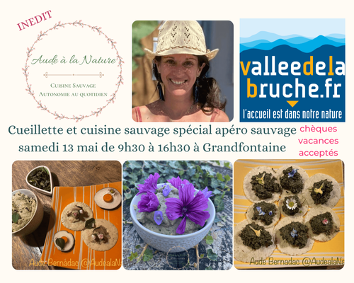 APERO SAUVAGE : atelier inédit de reconnaissance cueillette et cuisine des plantes sauvages