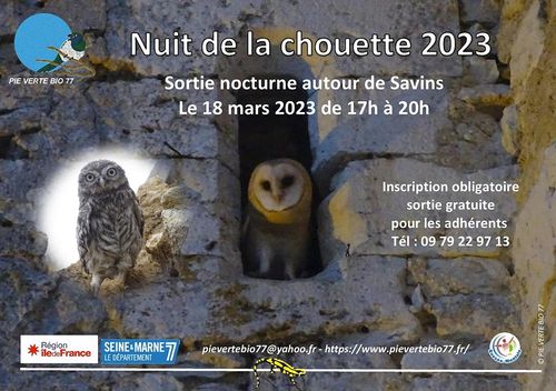 Nuit de la chouette