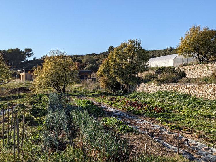 Les activités Nature proposés par Monique - Présidente de l'association Colinéo