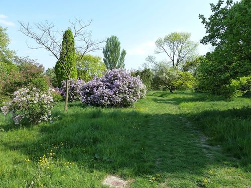 Le monde des arbres à l’arboretum (Bois de Vincennes)