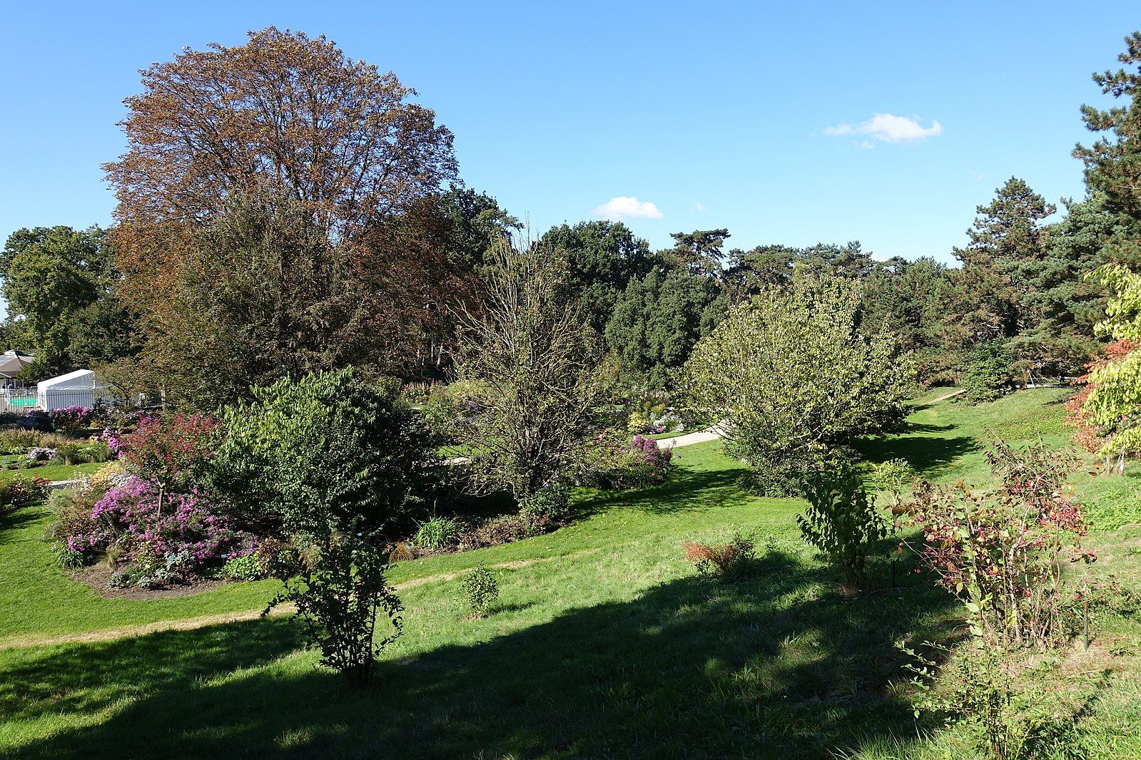 Parc_Floral_@_Paris_(30072491281).jpg