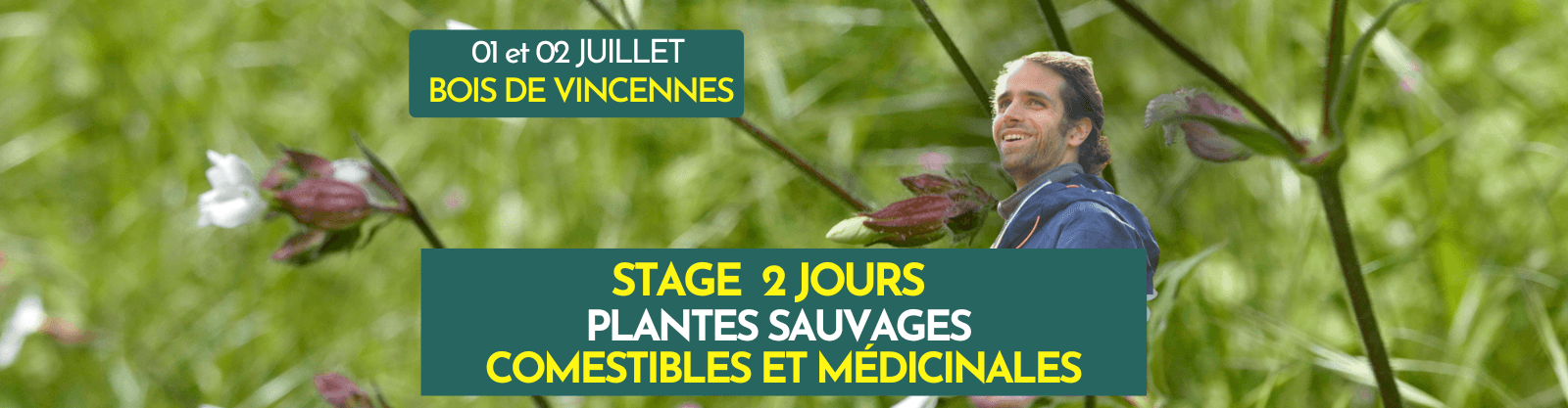 PLANTES SAUVAGES COMESTIBLES ET MÉDICINALES - STAGE 2 JOURS