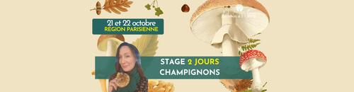 STAGE CHAMPIGNONS - 2 JOURS