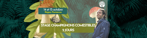 STAGE CHAMPIGNONS - 2 JOURS