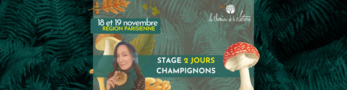 STAGE CHAMPIGNONS - 2 JOURS