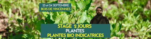 STAGE PLANTES BIO INDICATRICES - 2 JOURS