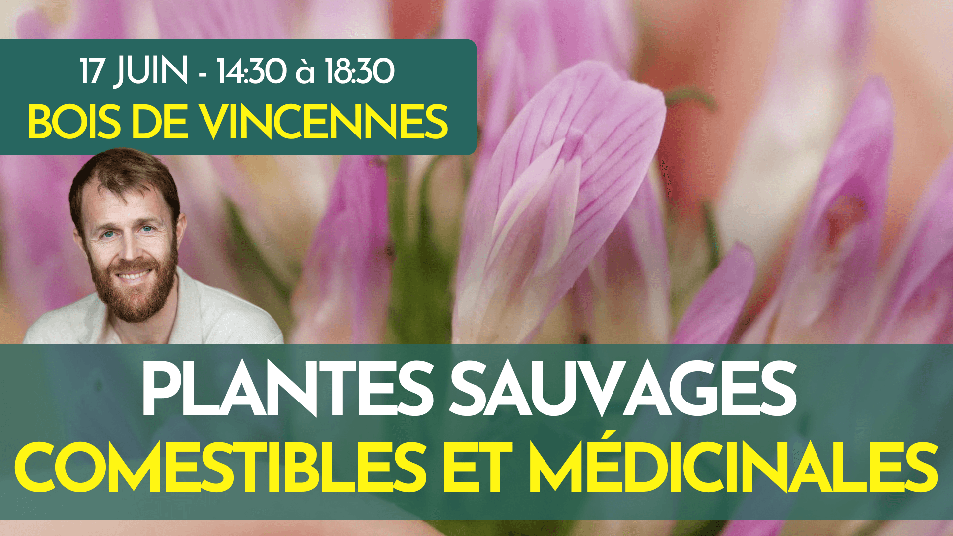 LA BALADE PLANTES SAUVAGES COMESTIBLES ET MÉDICINALES