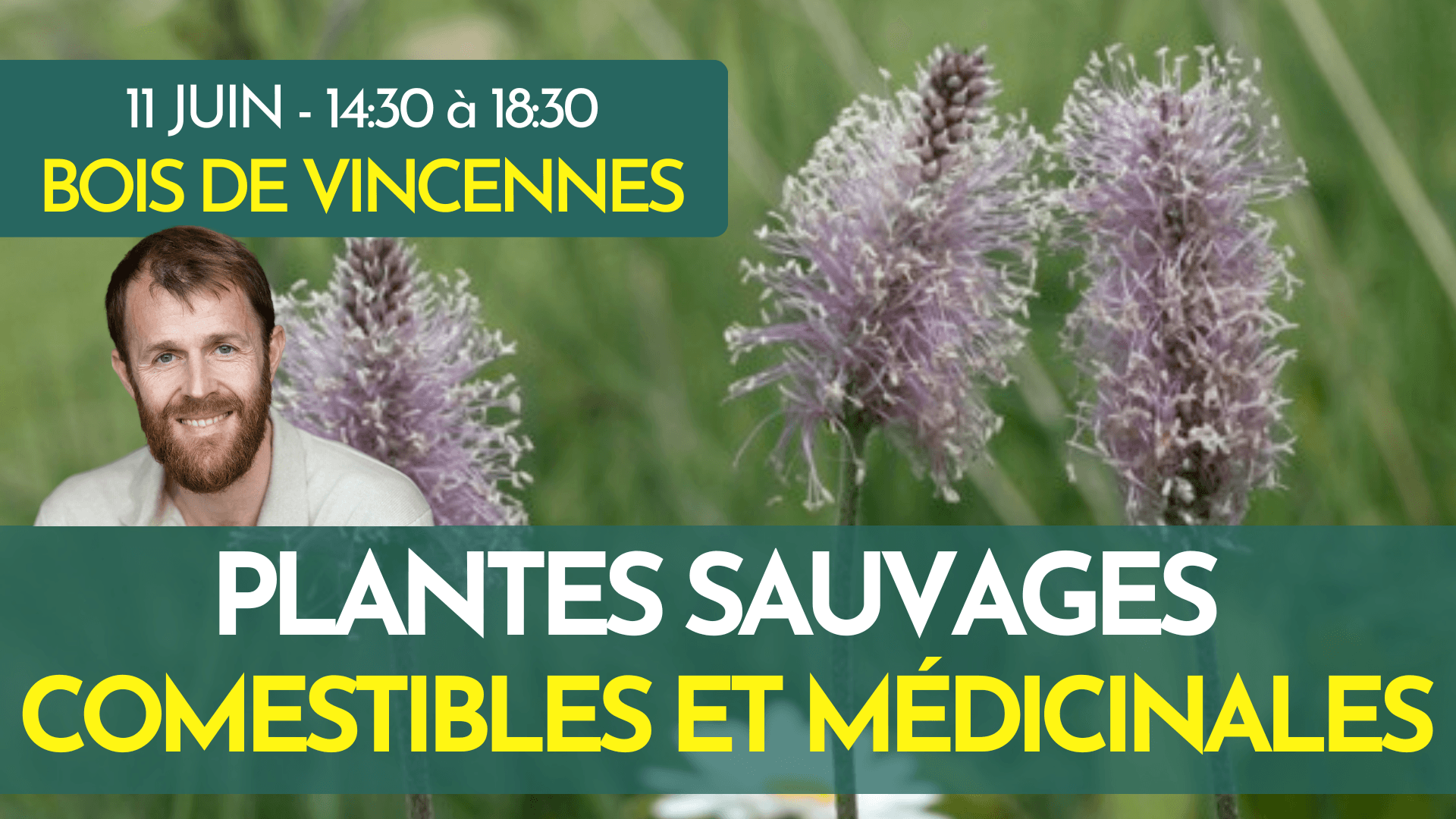 PARIS - LA BALADE PLANTES SAUVAGES COMESTIBLES ET MÉDICINALES