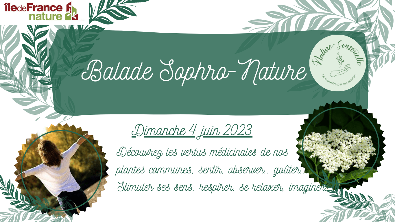 Balade Sophro-Nature