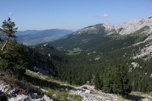 Découverte de la vallée des fossiles