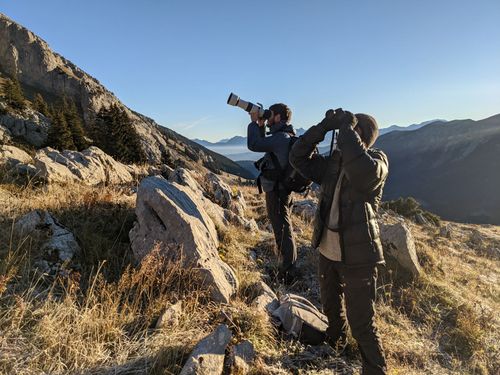 Sortie ornitho en Isère