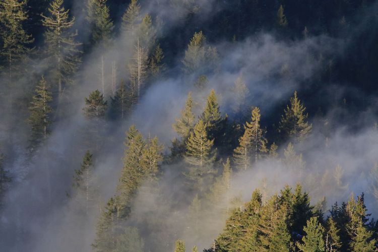 Les activités Nature proposés par Jonathan - Accompagnateur en Montagne
