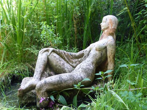 Découverte de la biodiversité autour de la Source d'Yvette