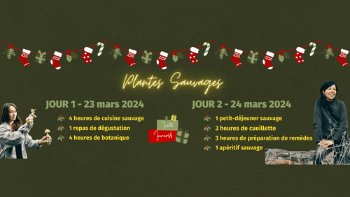 Stage 2 jours - Plantes sauvages & leurs usages