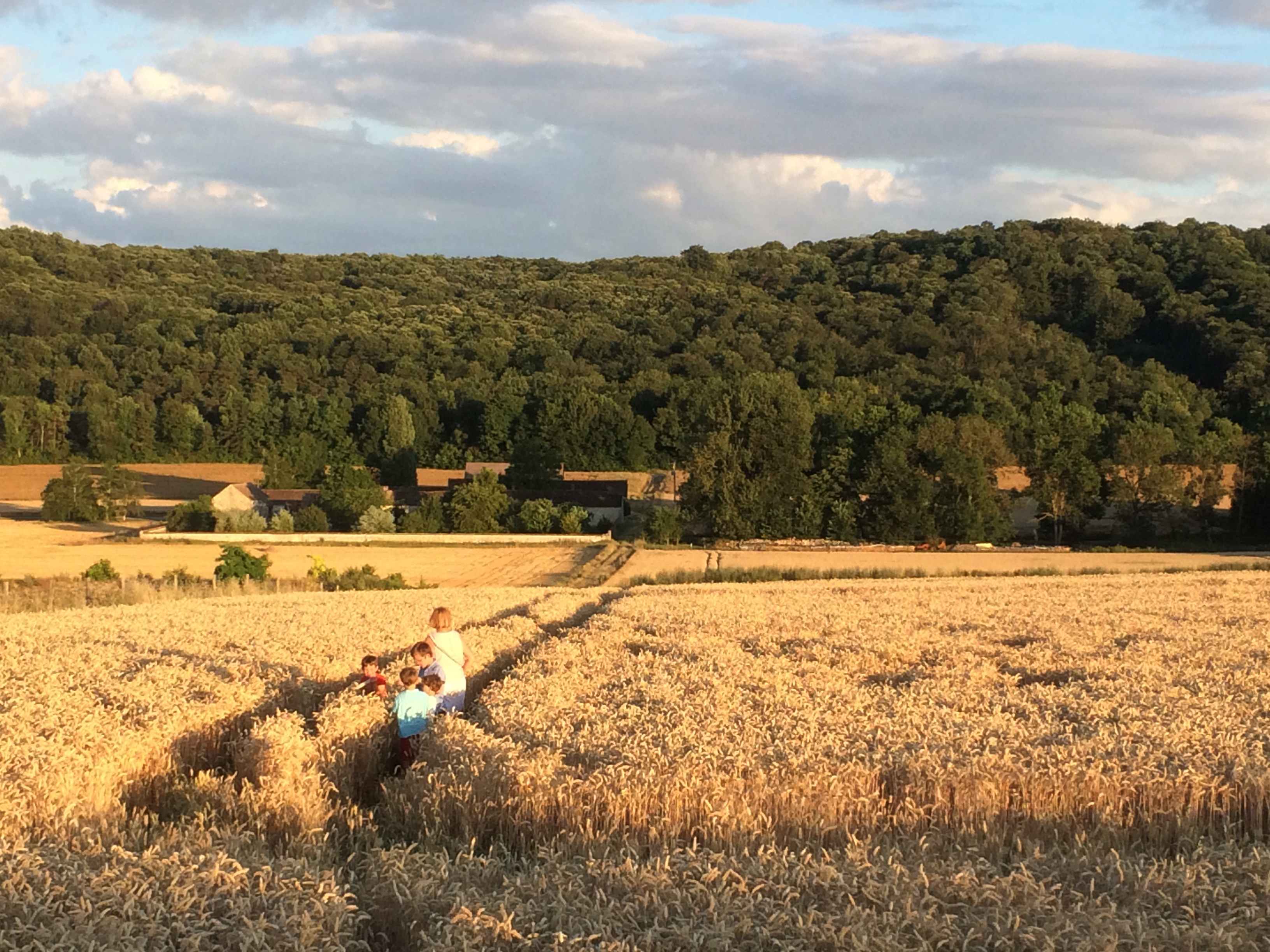 Vue sur la ferme. Lieu-dit La Fontaine du Dy