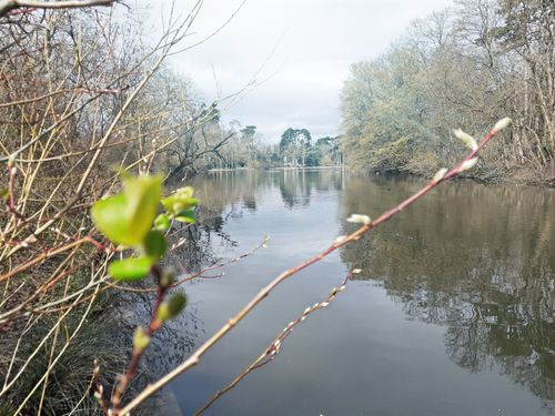 Marche et Méditation au Bois de Vincennes - au bord du Lac