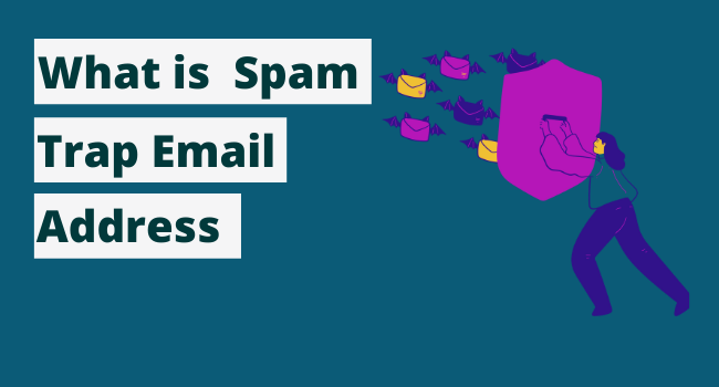 how to find spam trap email addresses